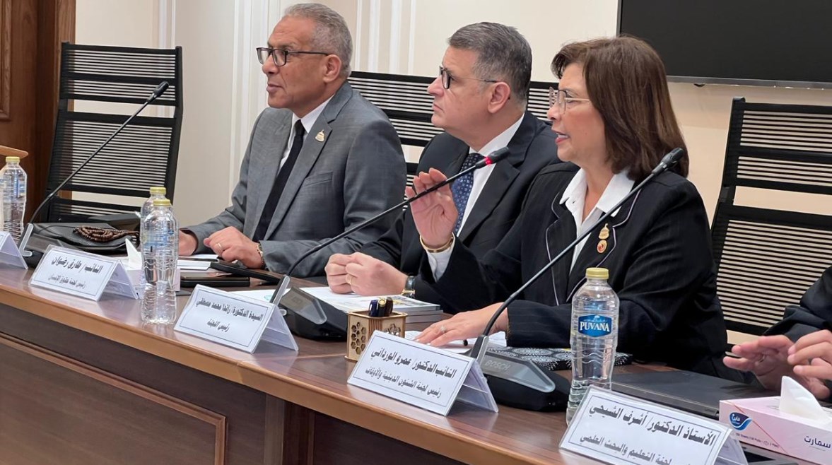 لجنة التضامن الاجتماعي والأسرة والأشخاص ذوي الإعاقة بمجلس النواب