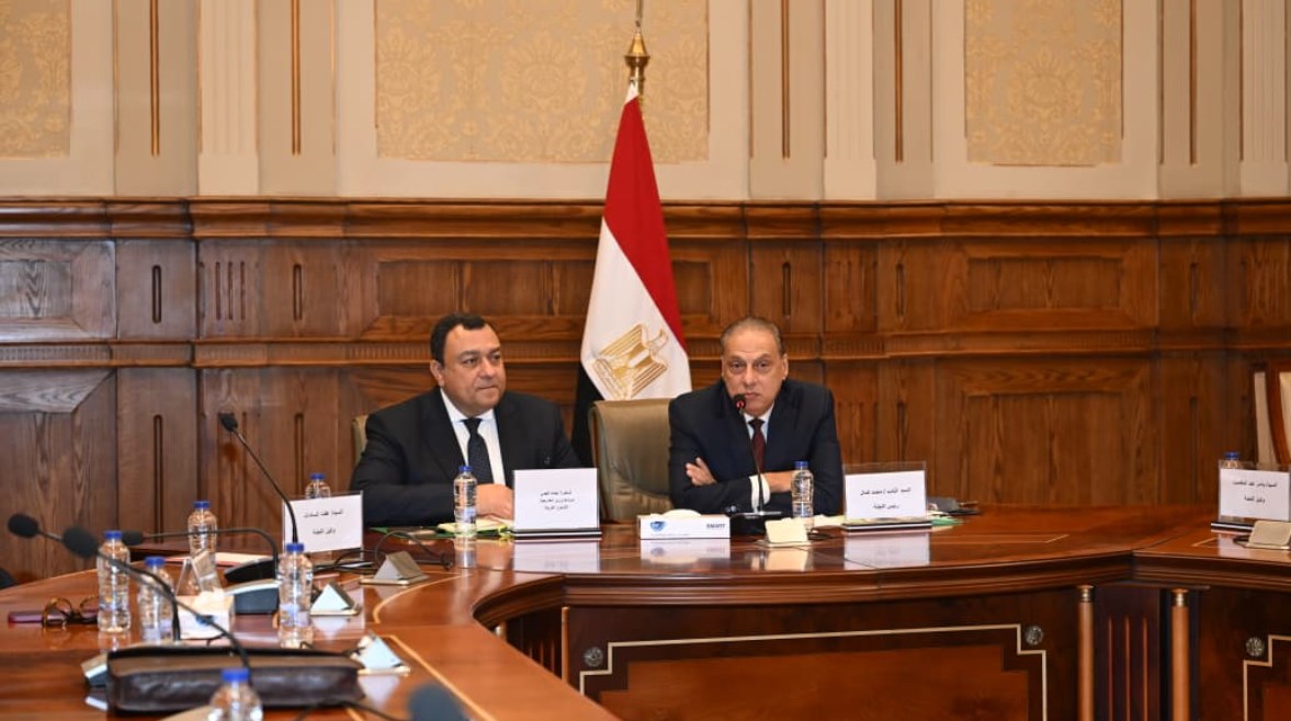 خلال اجتماع لجنة العلاقات الخارجية والشئون العربية