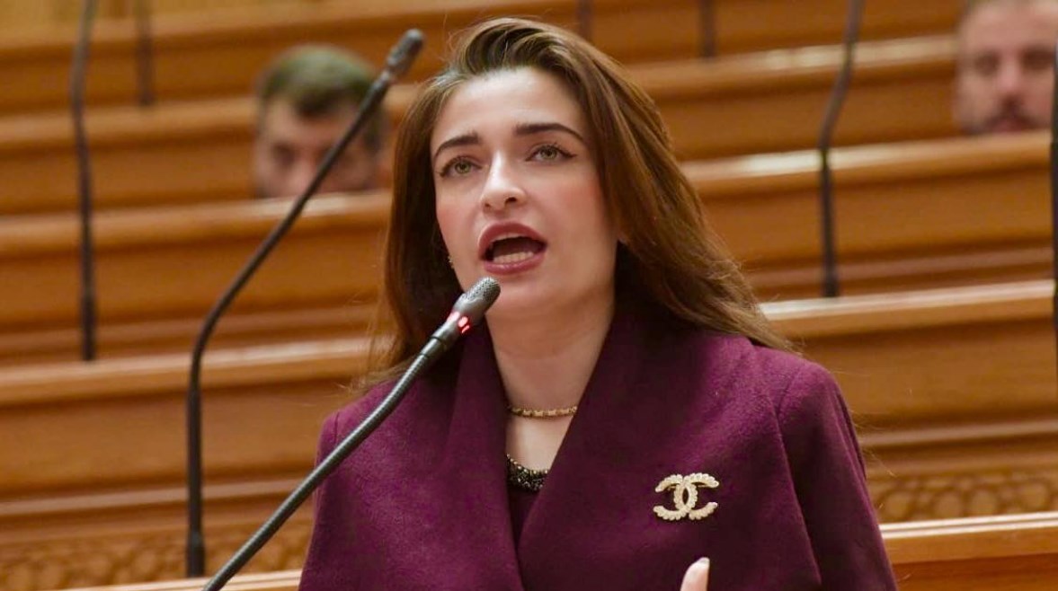 النائبة  إيرين سعيد