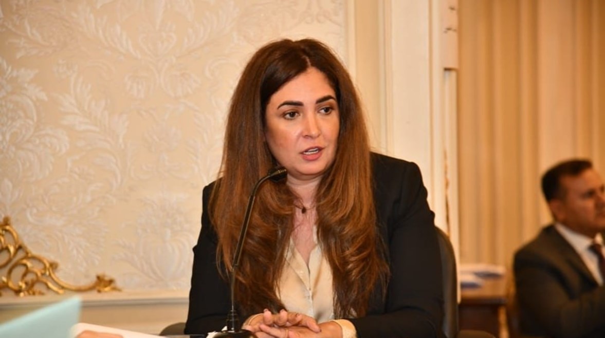 النائبة أميرة العادلي