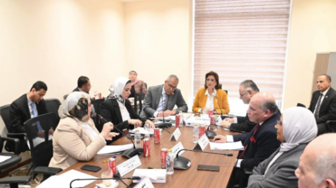 لجنة التضامن بمجلس النواب