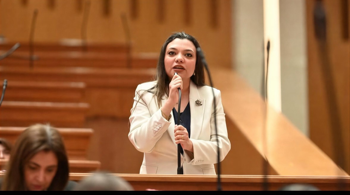 عضو مجلس النواب، مي كرم جبر