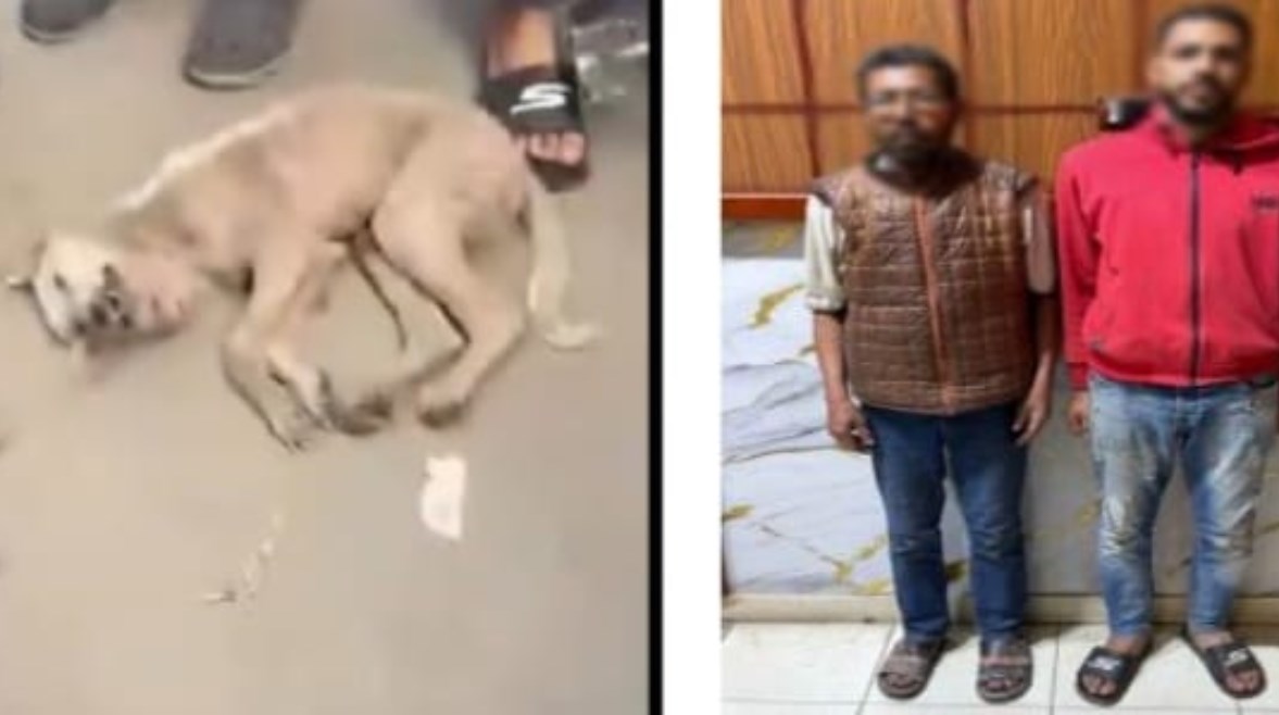 المتهمين وجانب من الواقعة