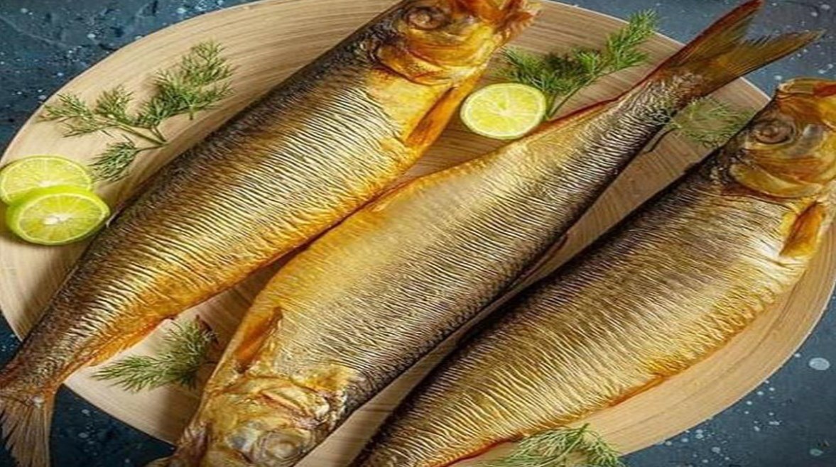 سمكة الرنجة