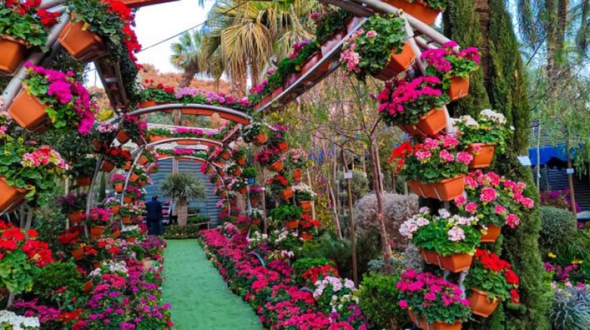 معرض الزهور 