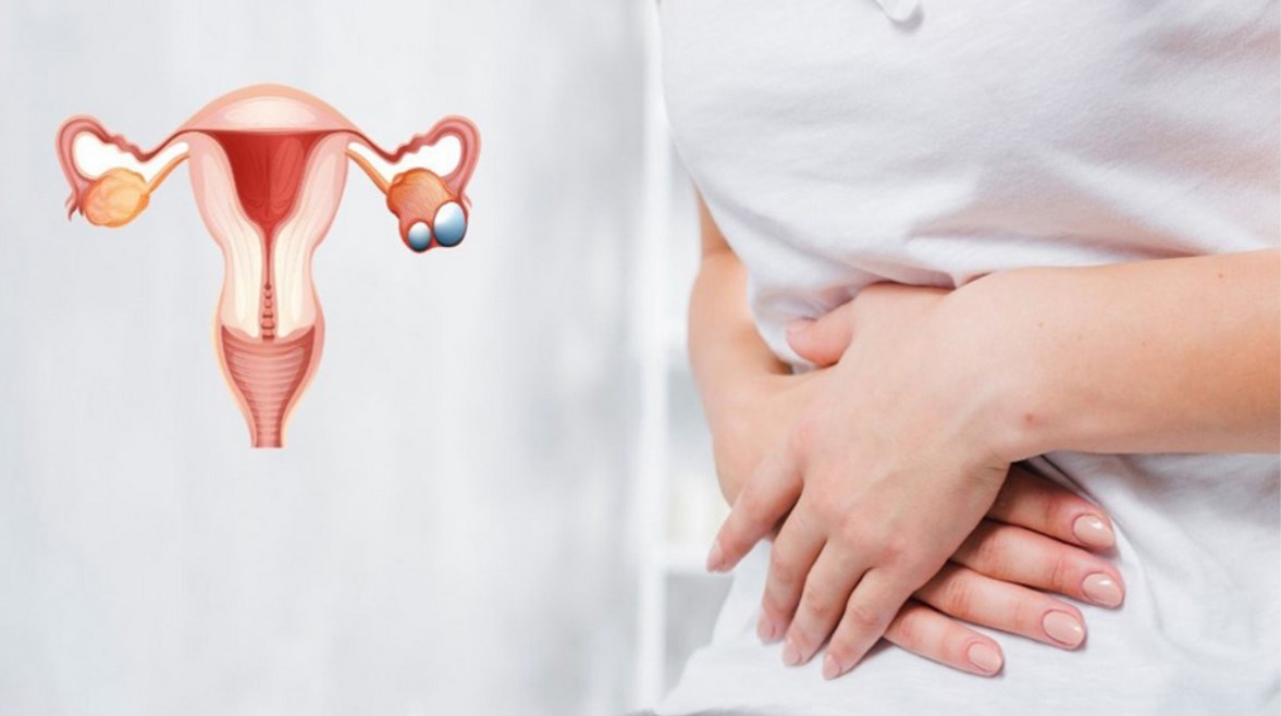  الدورة الشهرية 