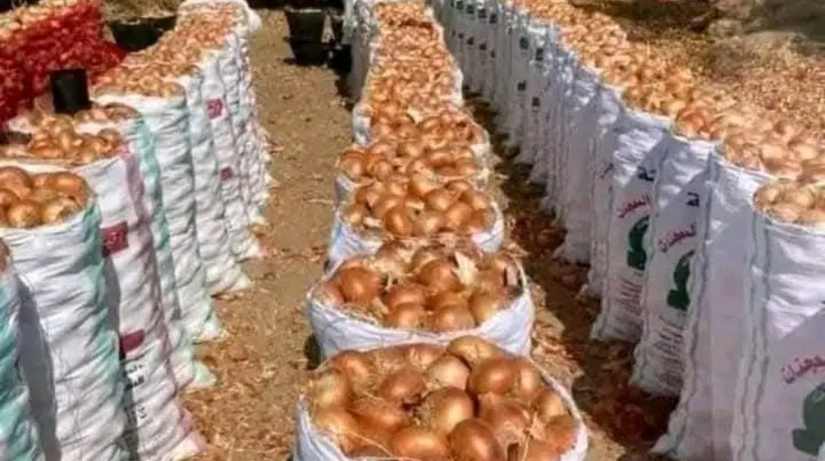  كواليس غلق مصنع تجفيف البصل في سوهاج 