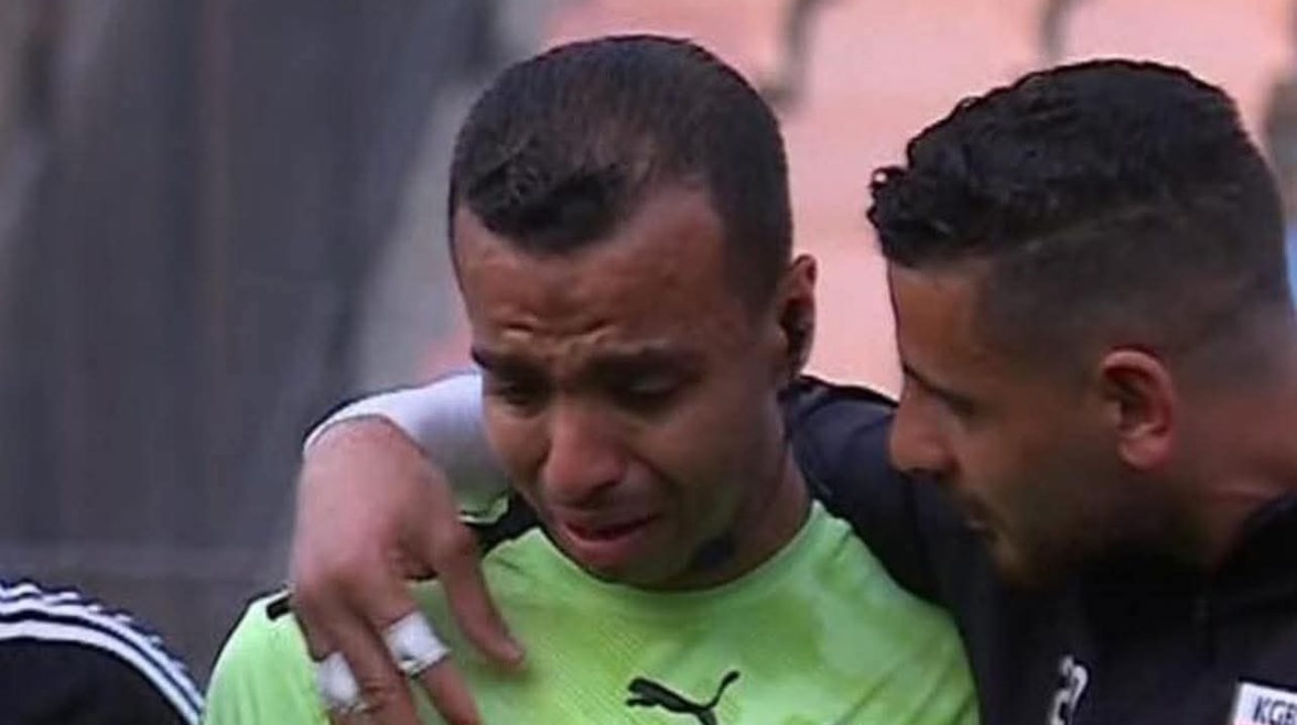 الحكم مصطفى الشهدي 