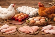  أسعار الفراخ اليوم الأربعاء