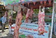 أسعار الأضاحي بمنافذ وشوادر وزارة الزراعة 2026 في مصر