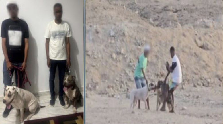 المتهمين