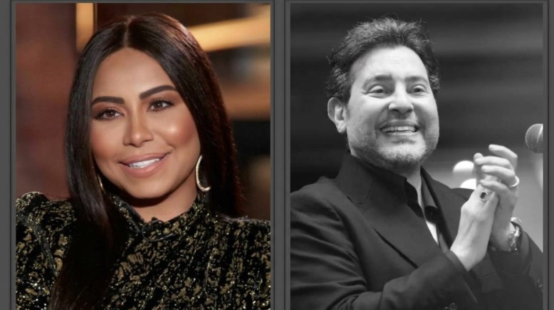 هاني شاكر وشيرين عبدالوهاب