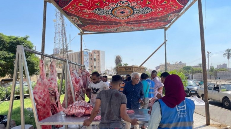 شوادر اللحوم بالمحافظات