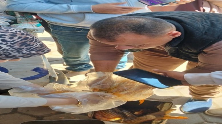 لقطة من المضبوطات 