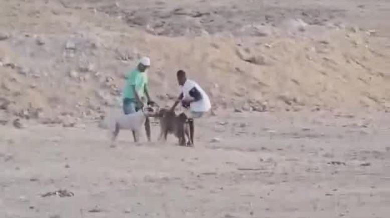 جانب من الواقعة 