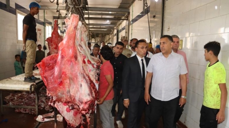 محافظ القليوبية يتابع جاهزية مجزر شبرا شهاب