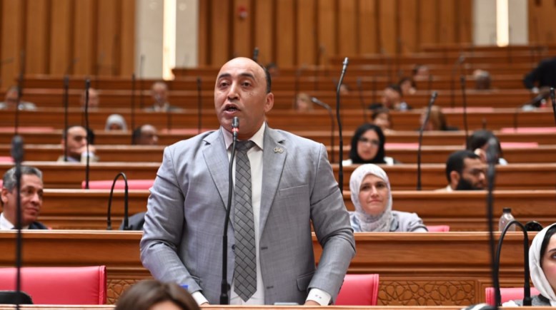 النائب حسام حسن