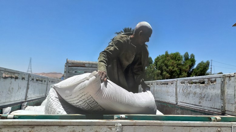 عامل بالمطاحن