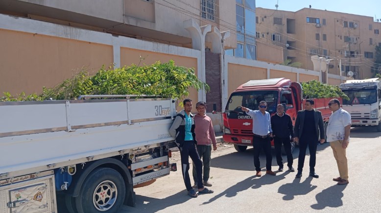 أرشيفية 