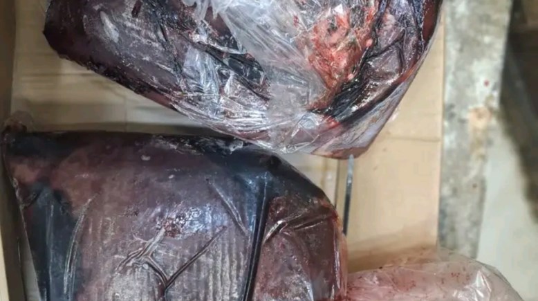 جانب من المضبوطات 