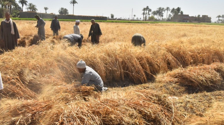 لقطة من الجولة 
