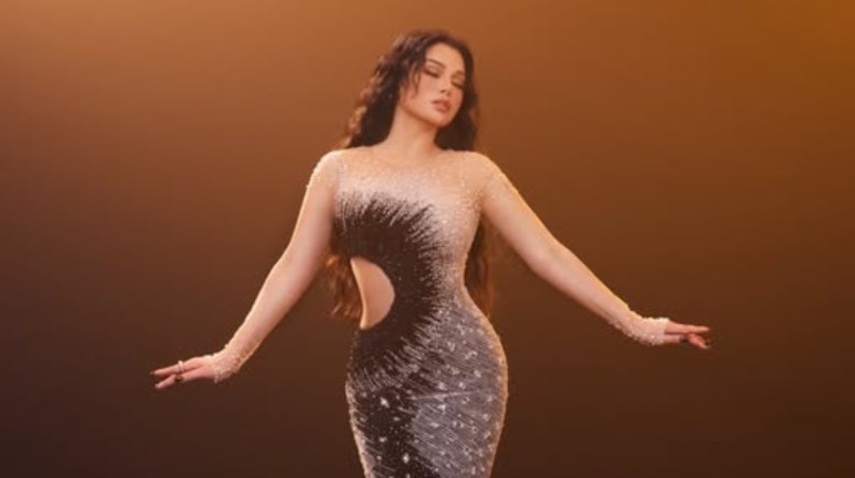 الفنانة هيفاء وهبي 