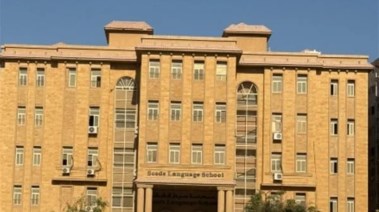 سيدز