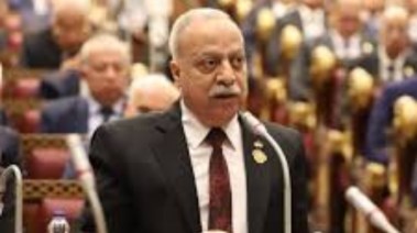 عضو مجلس الشيوخ حسني سبالة