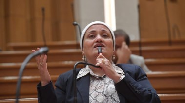  سناء السعيد عضو مجلس النواب