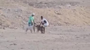 جانب من الواقعة 