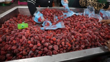 محطة «البيهو» لتصدير الفراولة والعنب