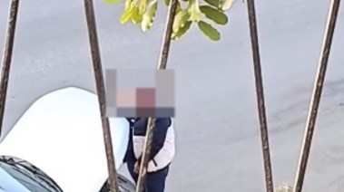 جانب من المنشورات 