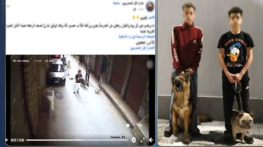 المتهمان
