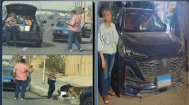 لحظة إطعام الكلاب في الشارع