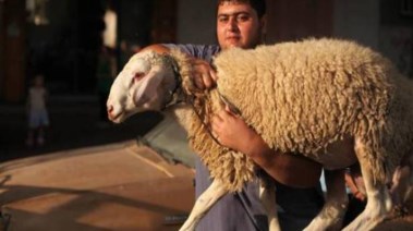 دعاء الأضحية