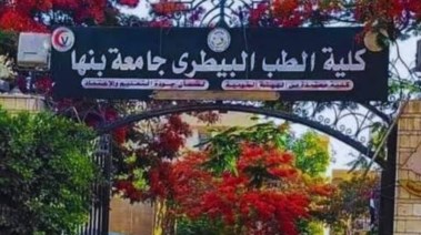 الطب البيطري بجامعة ببنها 