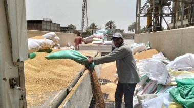 موسم توريد القمح بالقليوبية 2026