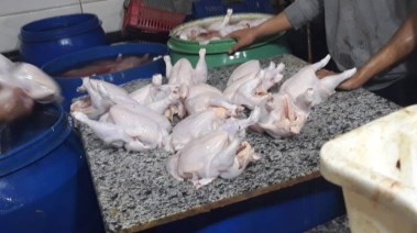 جانب من المضبوطات