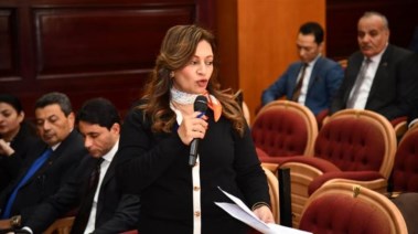 عضو مجلس الشيوخ النائبة نيفين فارس