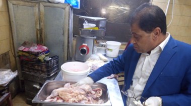 وكيل وزارة الطب البيطري 