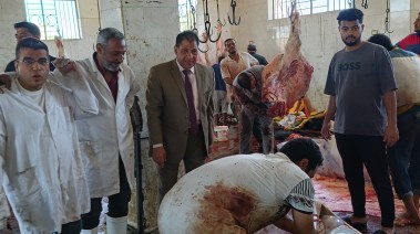 وكيل وزارة الطب البيطري يشرف على عمليات الذبح