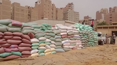 لقطة من التوريد 