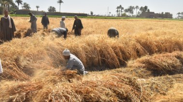 لقطة من الجولة 