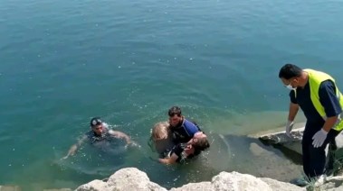 ارشيفيه
