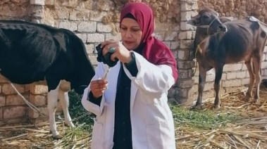 لقطة من الحملة 