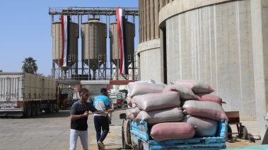 بعد إجازة أول أيام العيد .. صوامع بني سويف تستقبل الذهب الأبيض