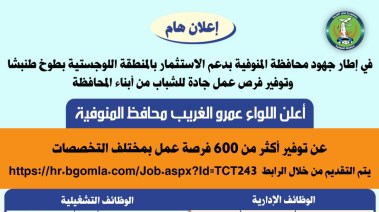 توفير فرص عمل