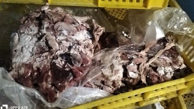 لحوم ودواجن فاسدة في بورسعيد 