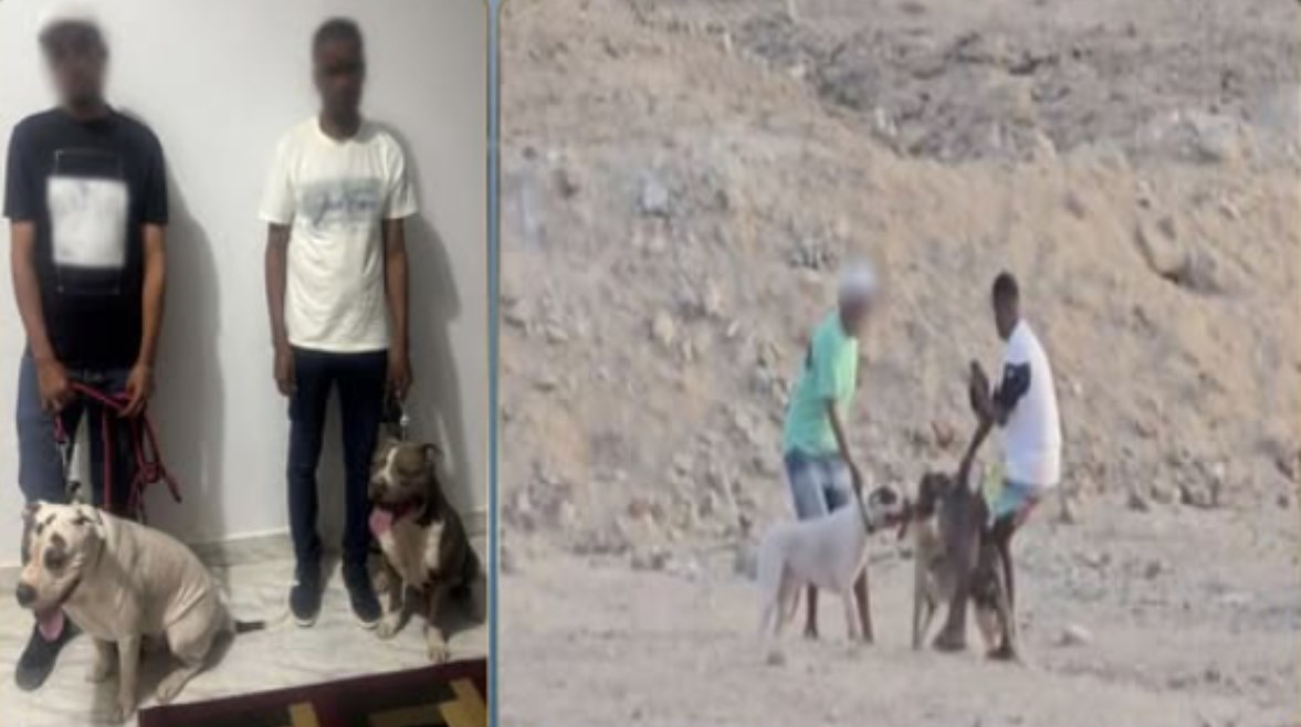 المتهمين