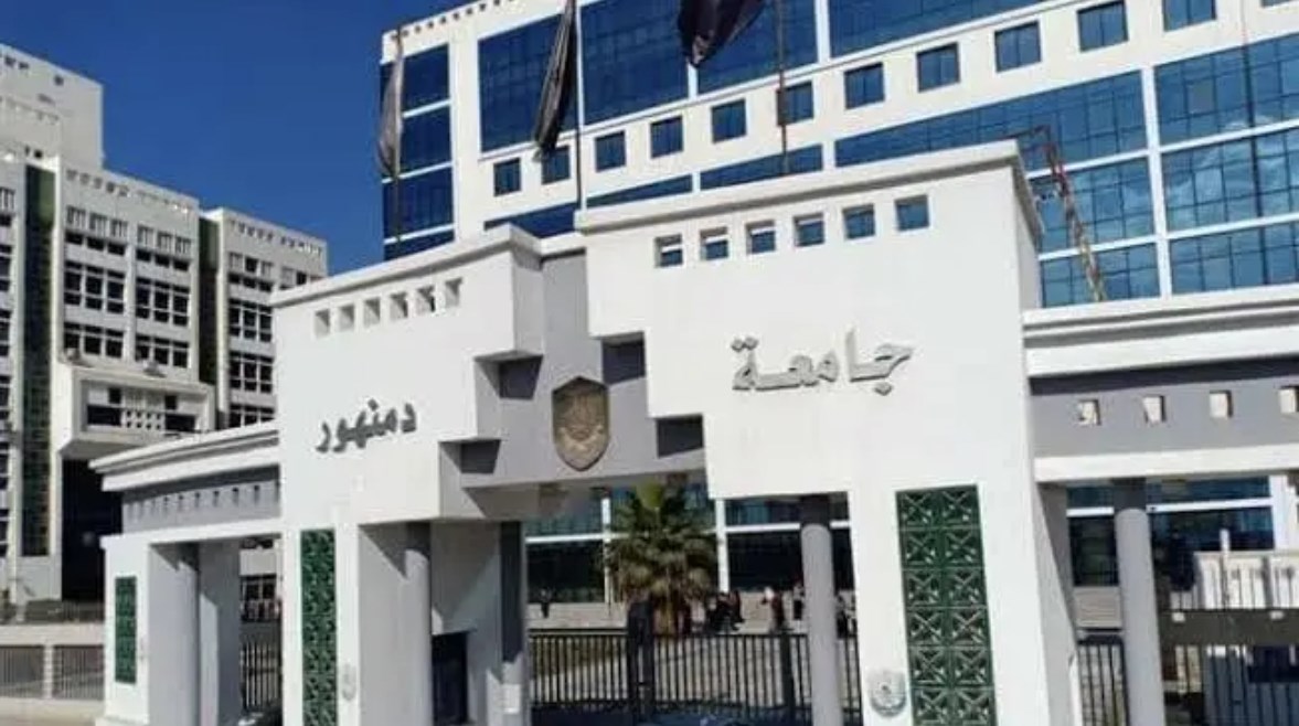 أرشيفية